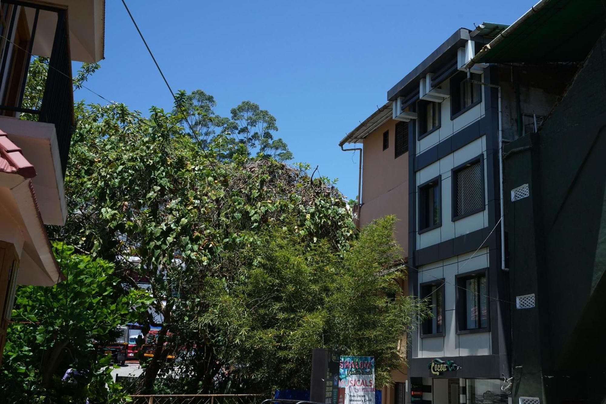 Oyo Hotel Cocoa Tree Munnar Bagian luar foto